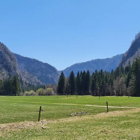 Radovna Mountain Valley Zgornje Gorje