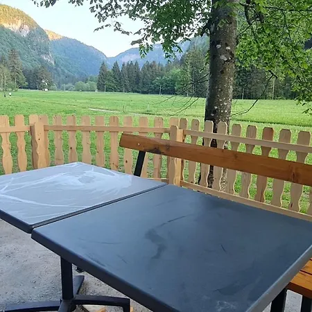 Radovna Mountain Valley Holiday home