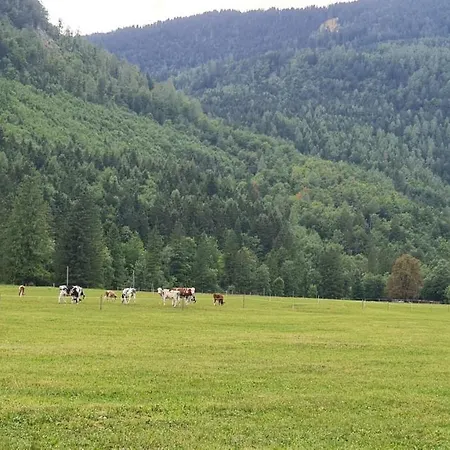 Radovna Mountain Valley *