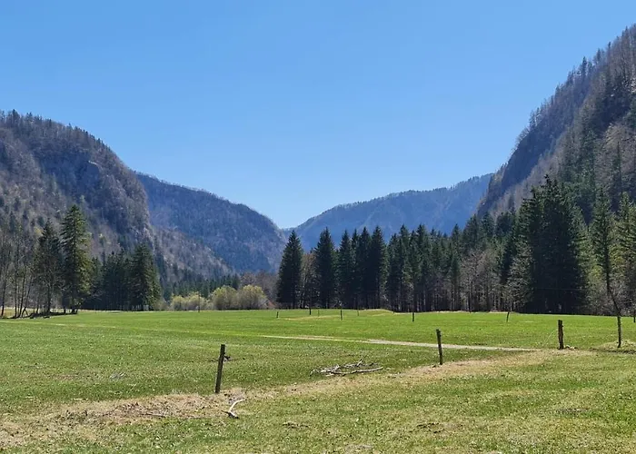 Radovna Mountain Valley Zgornje Gorje
